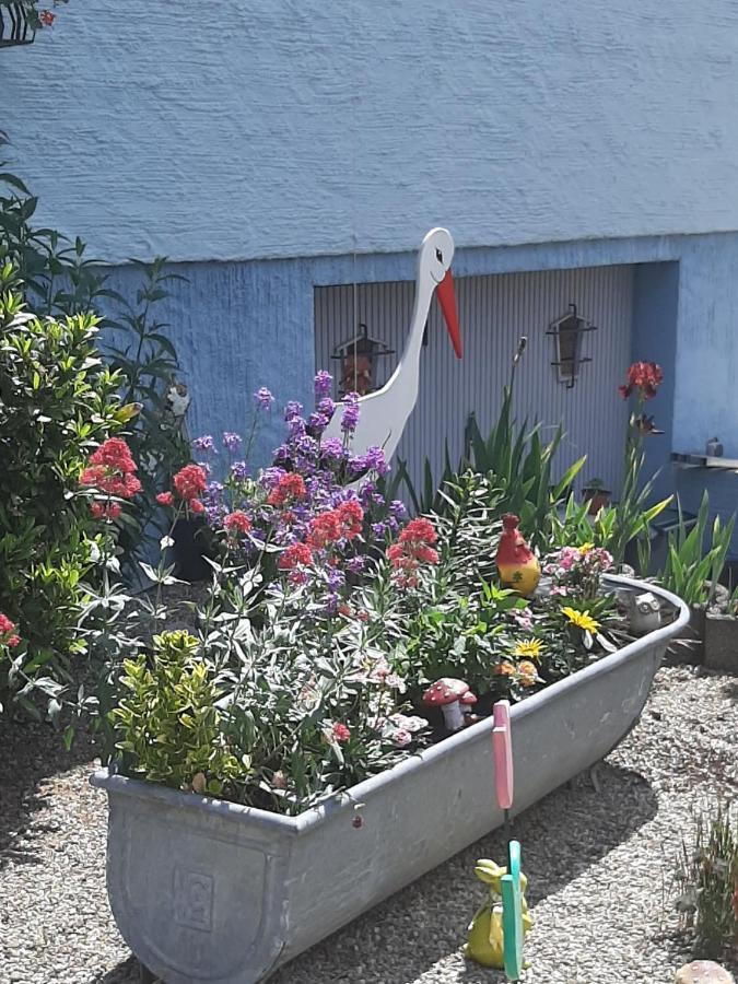 Gite Les Chiwawas D'Alsace Kaysersberg-Vignoble Exterior foto