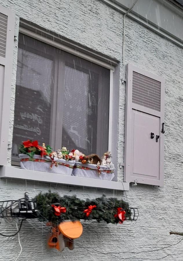 Gite Les Chiwawas D'Alsace Kaysersberg-Vignoble Exterior foto